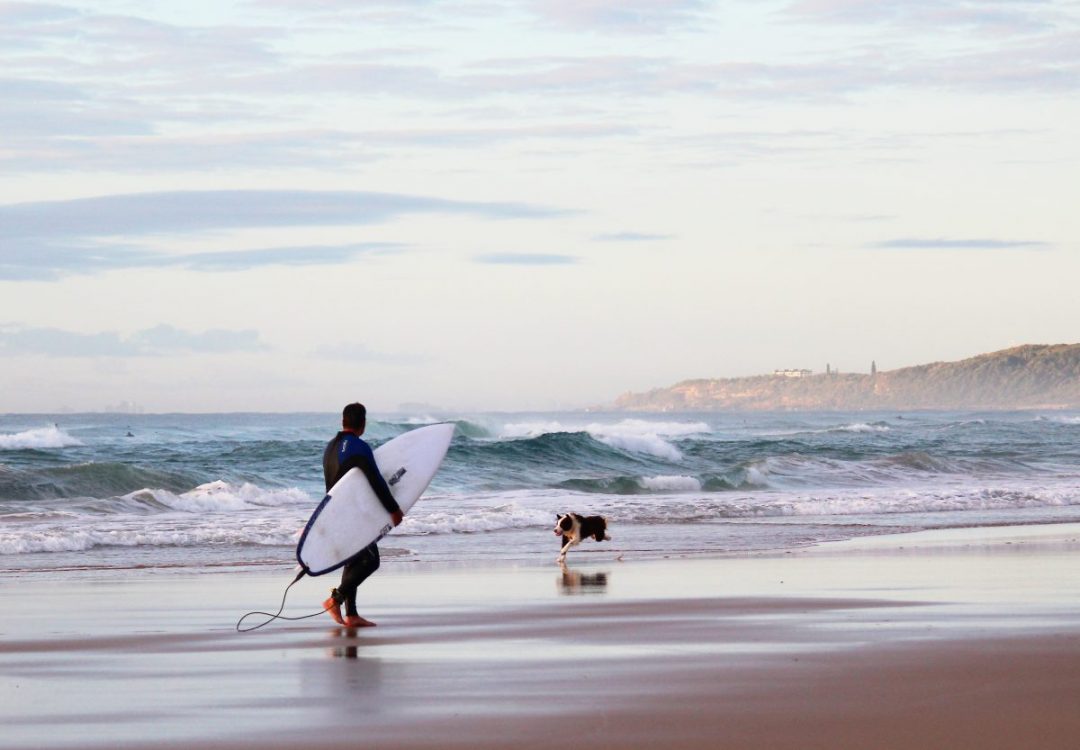 dog-friendly-beaches-on-the-sunshine-coast-our-coast-life