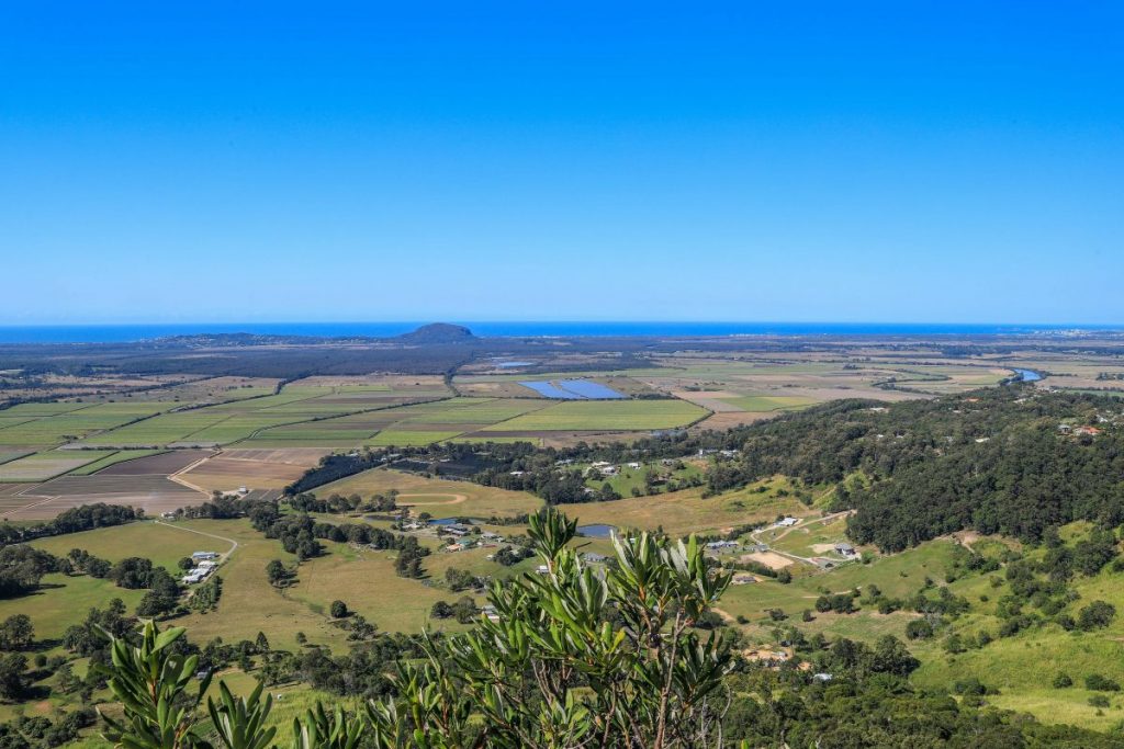 Everything you need to know about hiking Mt Ninderry - Our Coast Life